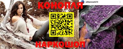 стаф Гусиноозёрск