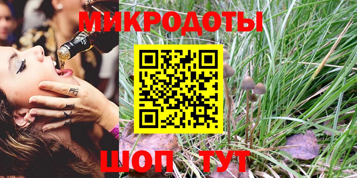 Псилоцибиновые грибы Psilocybe Новосибирск